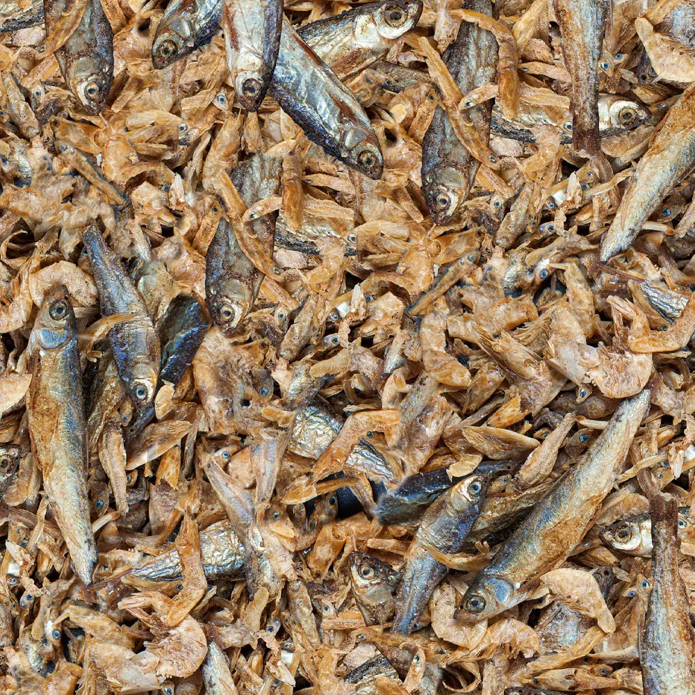 sera_Raffy_Royal_Nature_Detail.webp