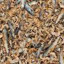 sera_Raffy_Royal_Nature_Detail.webp