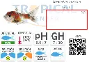 ficha-Shubunkin.webp