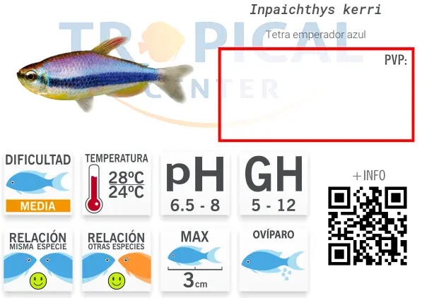 ficha-Tetra-Emperador-Azul.webp