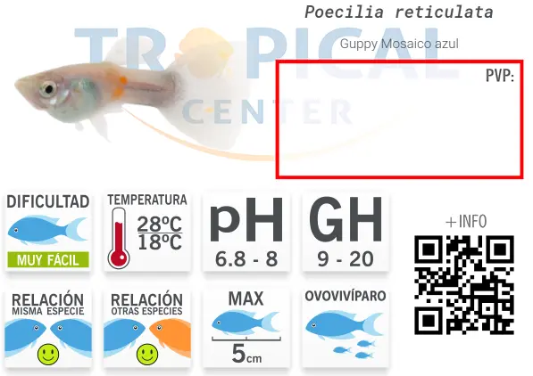 ficha-guppy.webp
