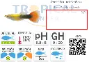 ficha-guppy-3.webp