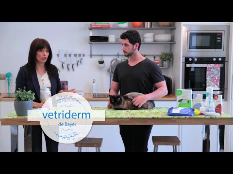 VETRIDERM SOLUCION TOPICA 350 ML