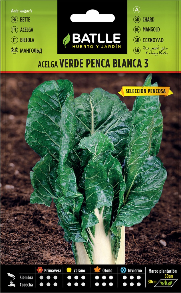 ACELGA VERDE DE PENCA BLANCA 3 SEL. PENCOSA