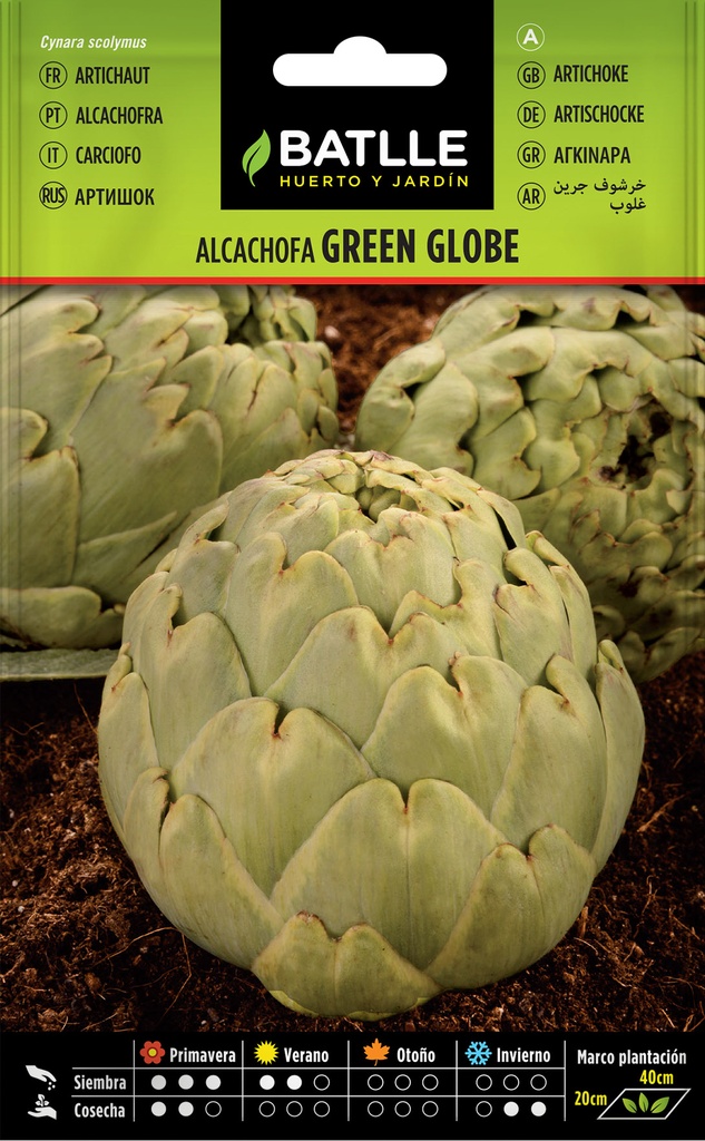 ALCACHOFA GREEN GLOBE