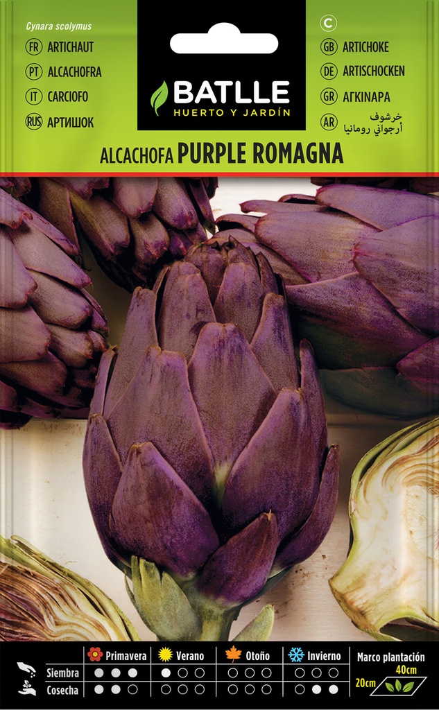 ALCACHOFA PURPLE ROMAGNA