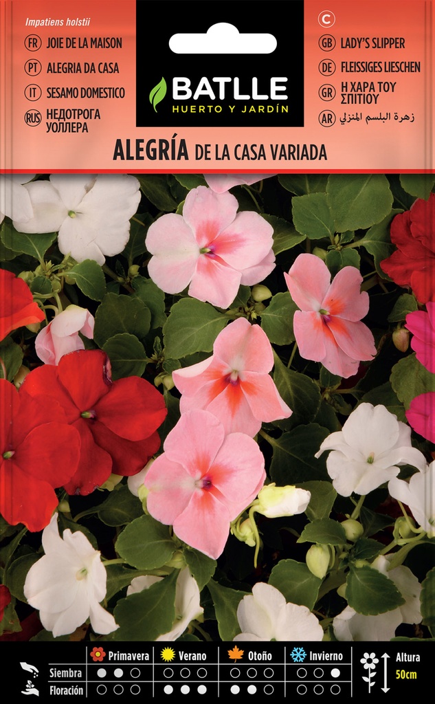 ALEGRIA DE LA CASA (IMPATIENS, HIBRIDA VARIADA)