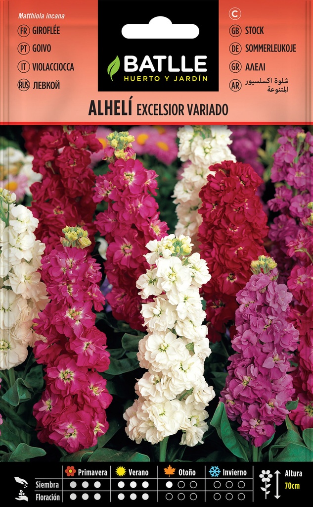 ALHELI EXCELSIOR (GIGANTE VARIADO)