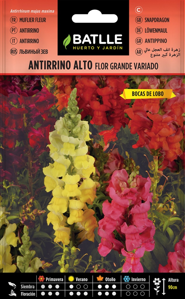 ANTIRRINO ALTO FLOR GRANDE VDO.