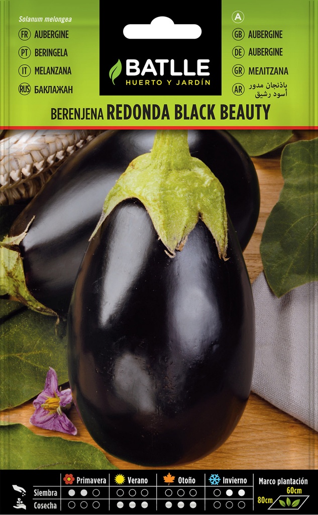 BERENJENA REDONDA BLACK BEAUTY