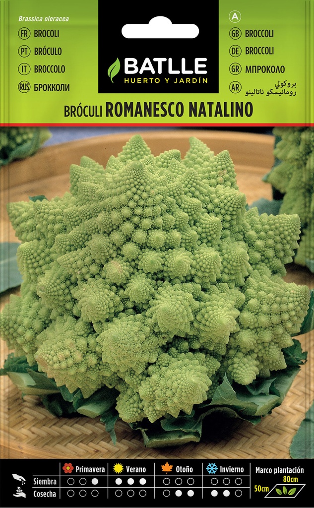 BROCULI ROMANESCO NATALINO