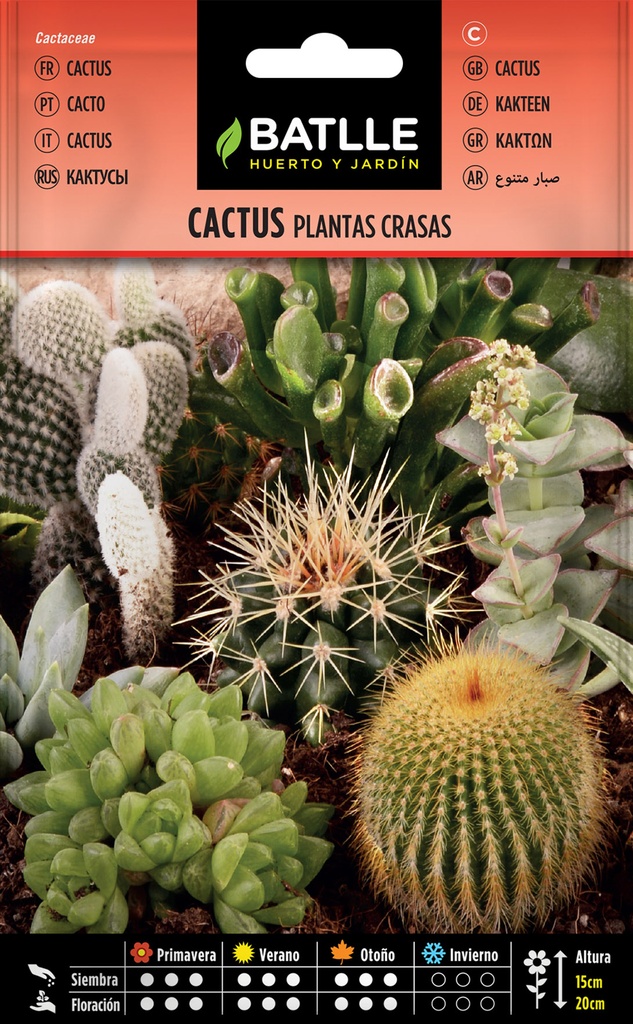 CACTUS VARIADOS