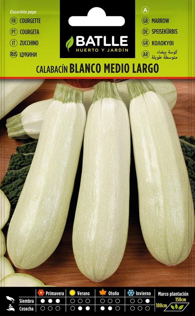 CALABACIN BLANCO MEDIO LARGO