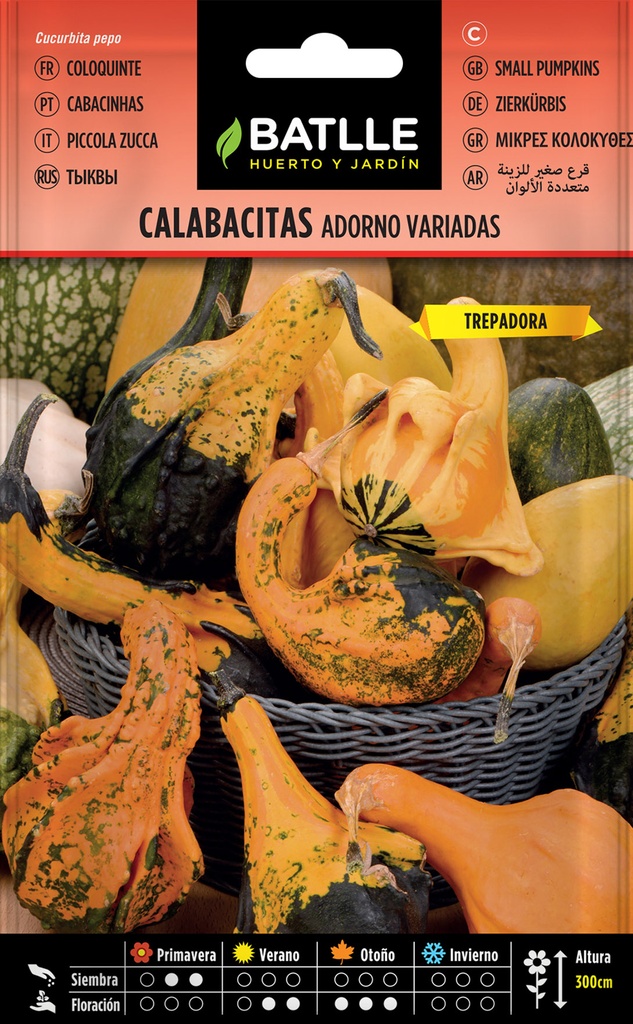 CALABACITAS ADORNO VARIADAS