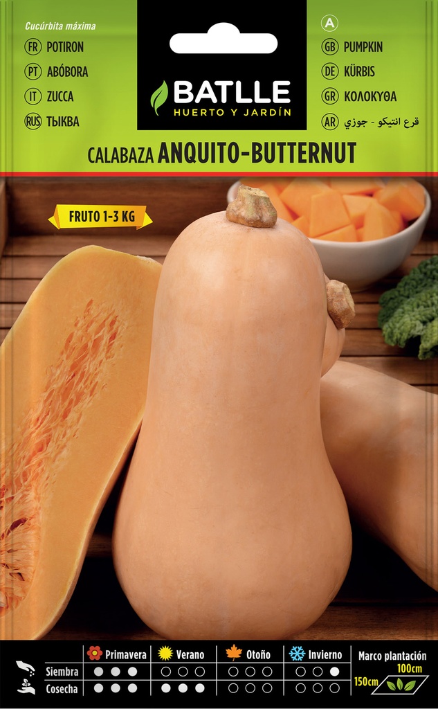 CALABAZA ANQUITO-BUTTERNUT