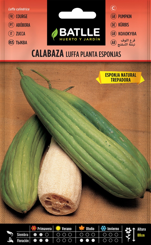 CALABAZA LUFFA