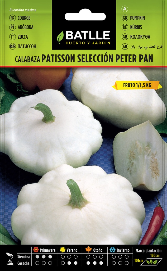 CALABAZA PATISSON B. PETER PAN