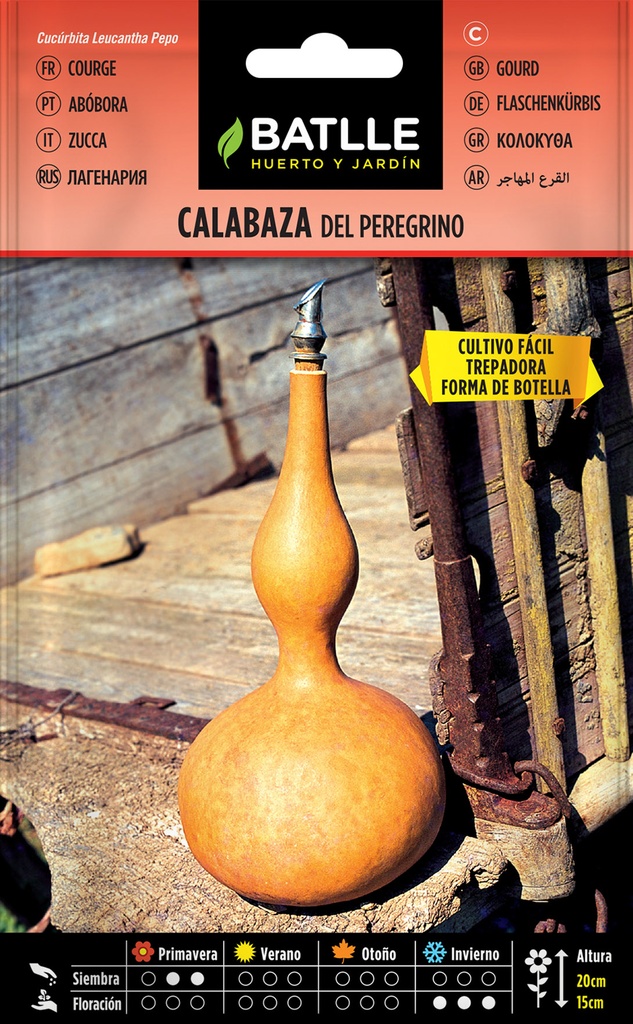 CALABAZA PEREGRINO