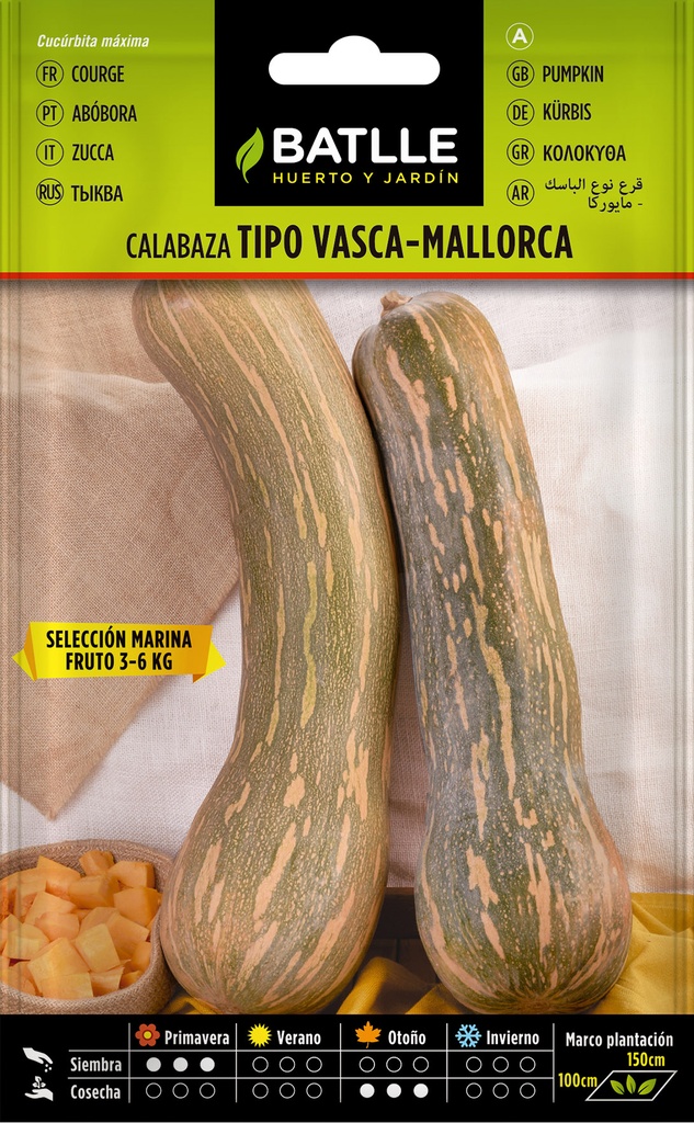 CALABAZA T. VASCA SELEC. MARINA