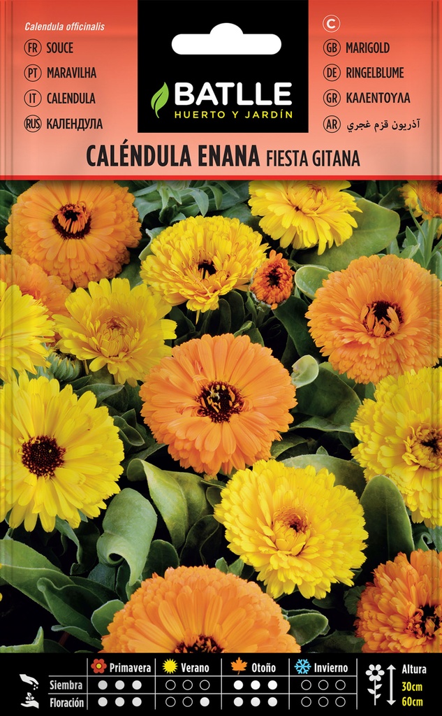 CALENDULA ENANA FIESTA GITANA 