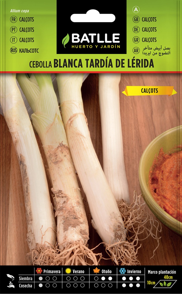 CALÇOTS CEBOLLA BLANCA TARDIA LERIDA