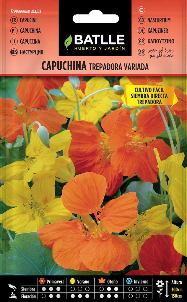 CAPUCHINA TREPADORA (VARIADA)