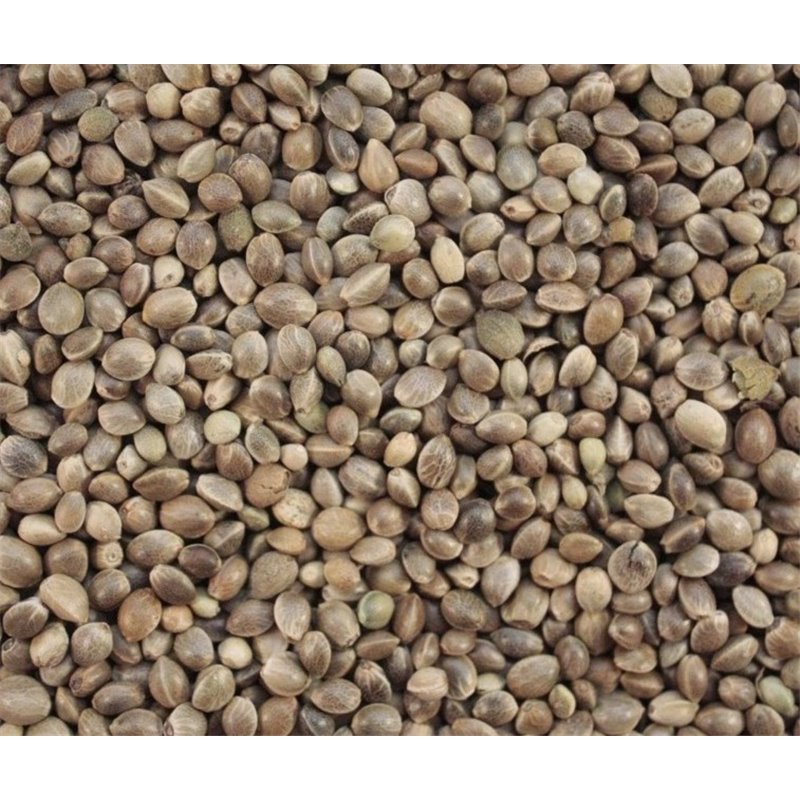 CAÑAMON 200 GRS