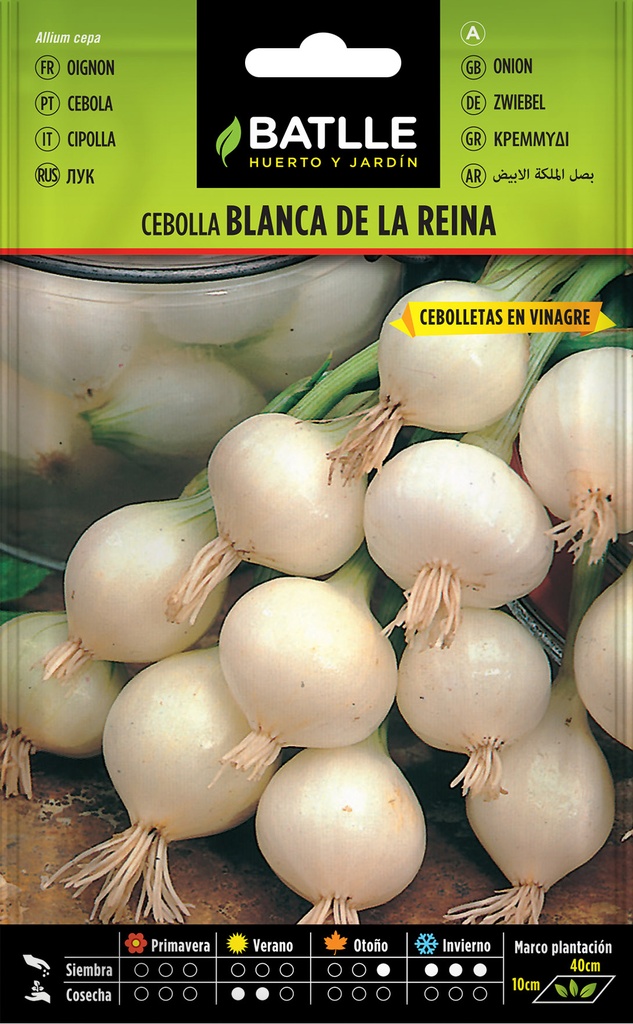 CEBOLLA BLANCA DE LA REINA