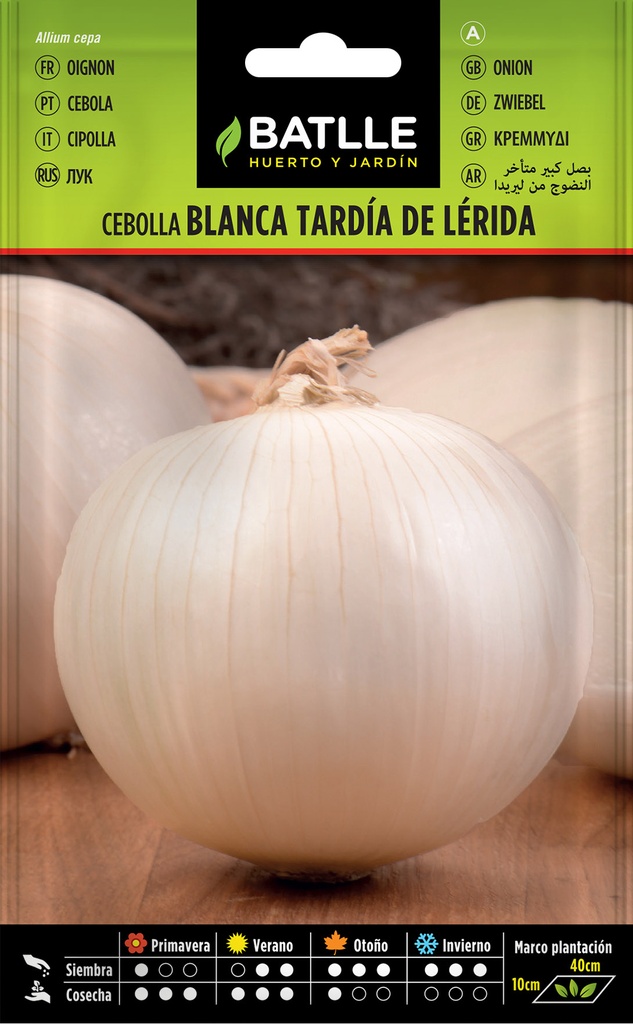 CEBOLLA GRANDE TARDIA DE LERIDA