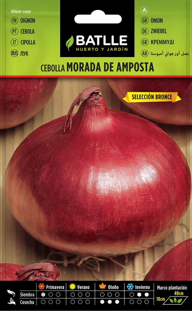 CEBOLLA MORADA DE AMPOSTA