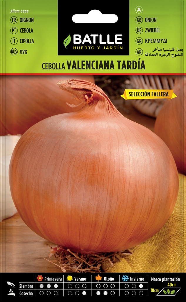 CEBOLLA VALENCIANA TARDÍA