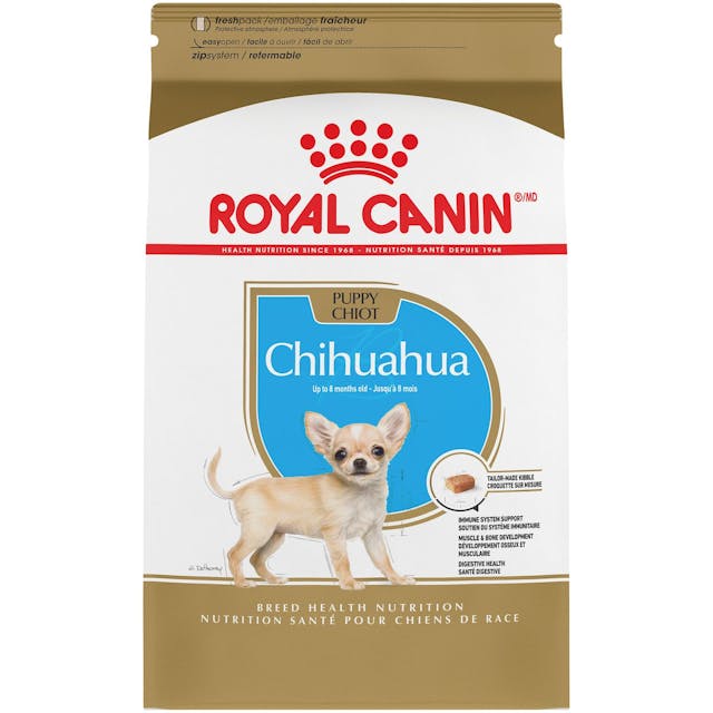 CHIHUAHUA JUNIOR 1,5 KGRS