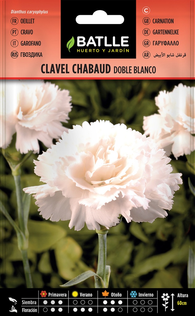 CLAVEL CHABAUD DOBLE BLANCO