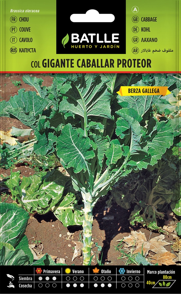 COL GIGANTE CABALLAR (PROTEOR)