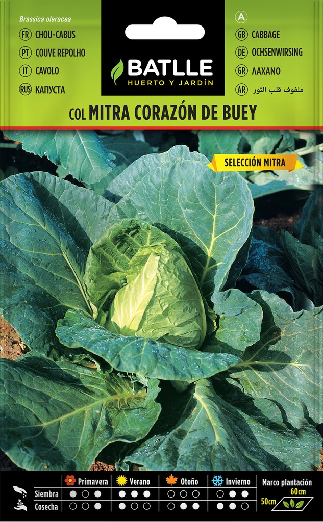COL MITRA CORAZON DE BUEY