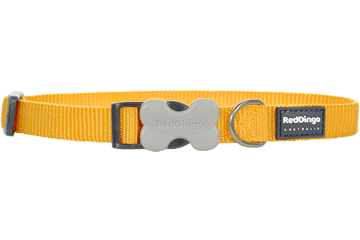 COLLAR PERRO LISO AMARILLO 25 MM