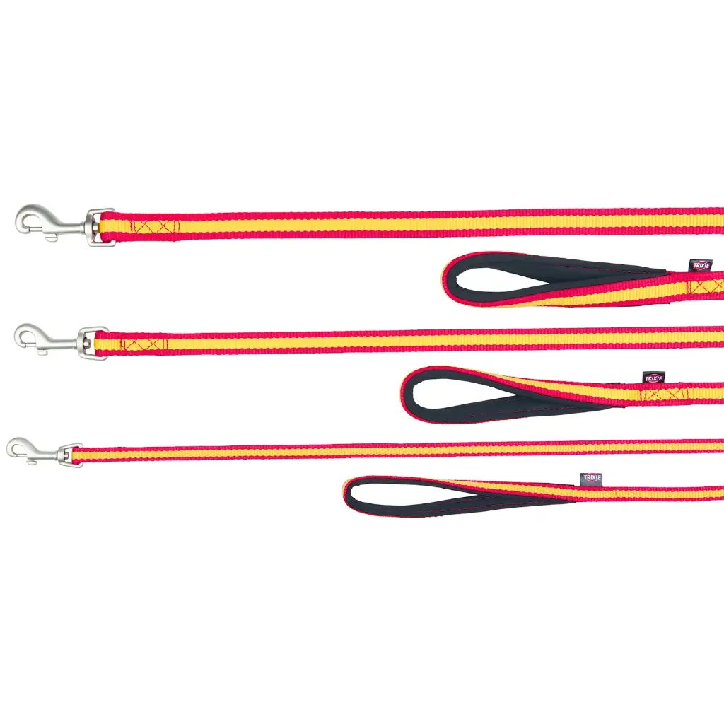 CORREA DOBLE XS ESPAÑA