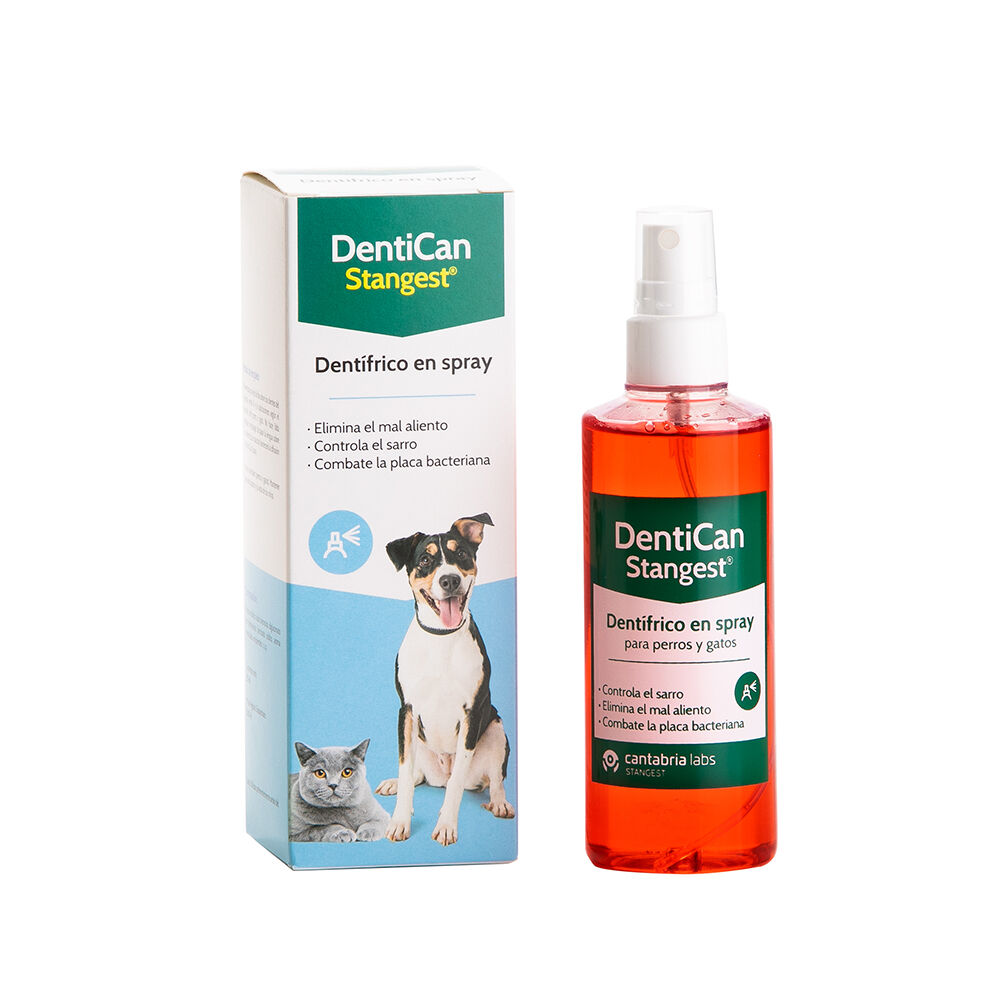 DENTICAN SPRAY 125 ML