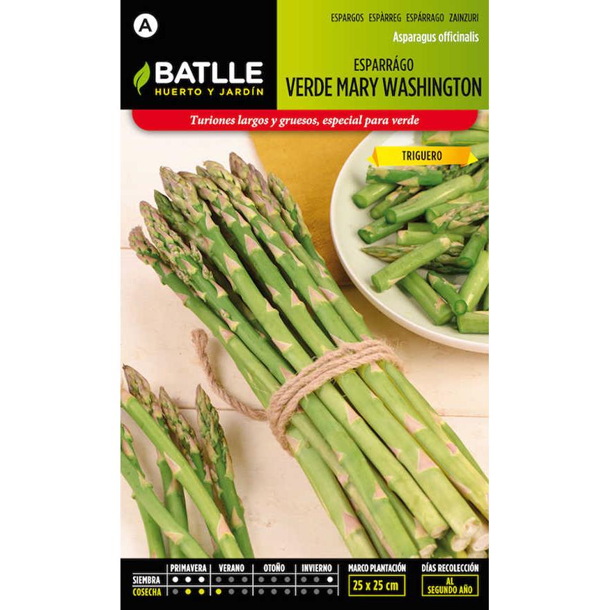 ESPARRAGO VERDE MARY WASHINGTON
