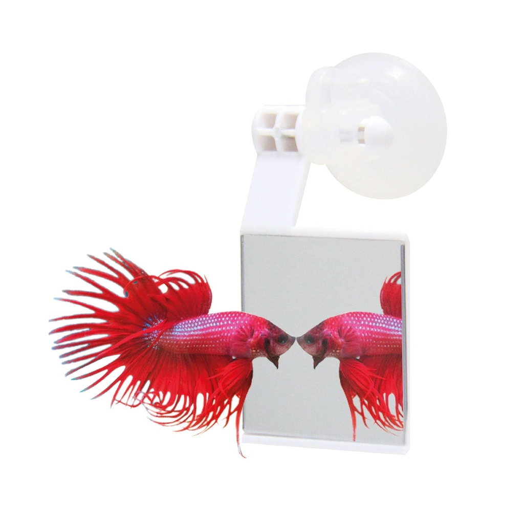 ESPEJITO BETTA STRIKE