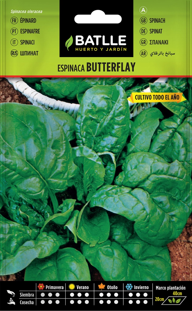 ESPINACA BUTTERFLAY