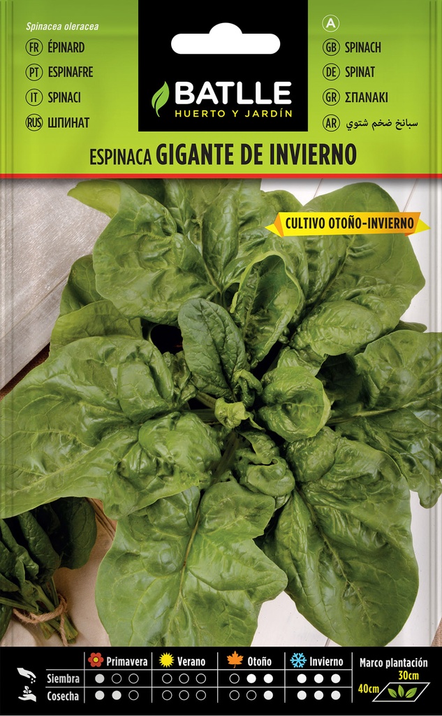 ESPINACA GIGANTE DE INVIERNO 25 GR