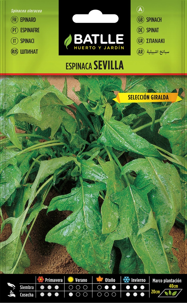 ESPINACA SEVILLA 15 GRS