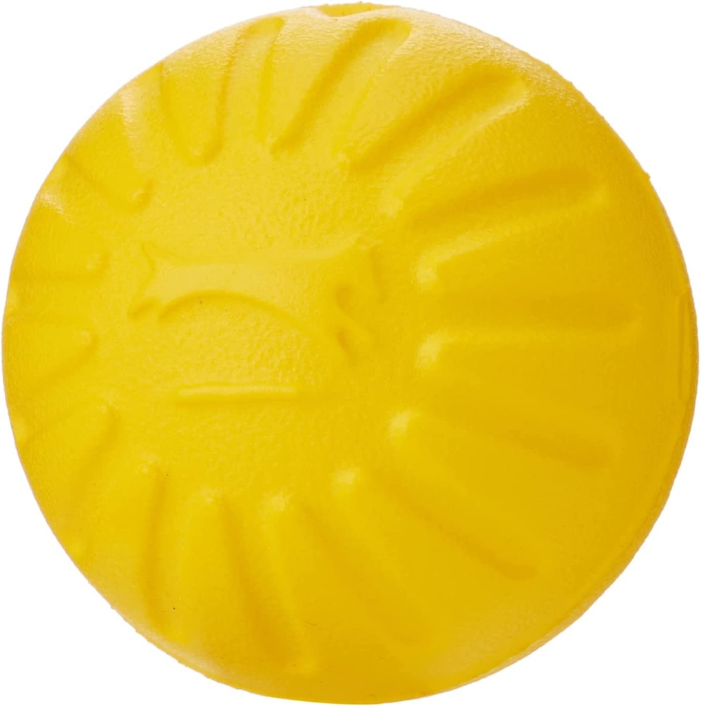 EVERLAS DURAFOAM PELOTA GRANDE