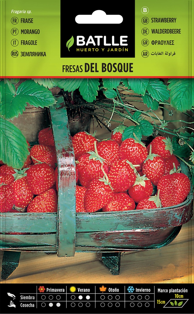 FRESAS DEL BOSQUE