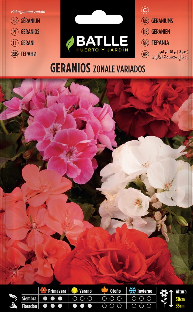 GERANIOS ZONALE