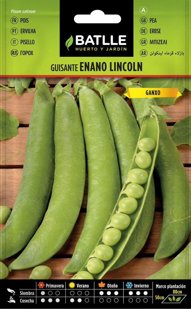 GUISANTE LINCOLN GANXO 100 GR