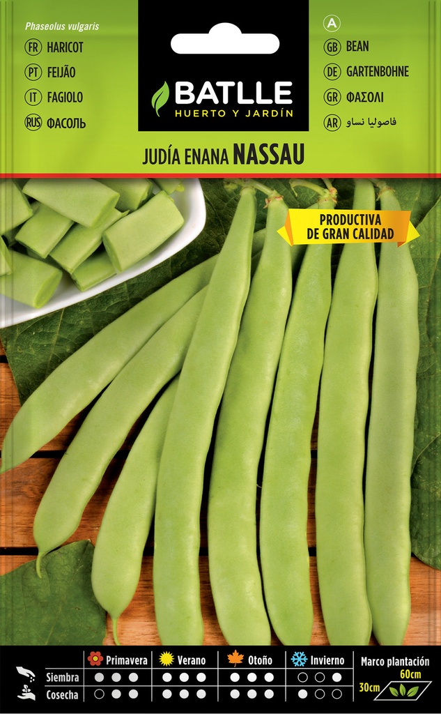 JUDIA NASSAU 250 GR CAJA