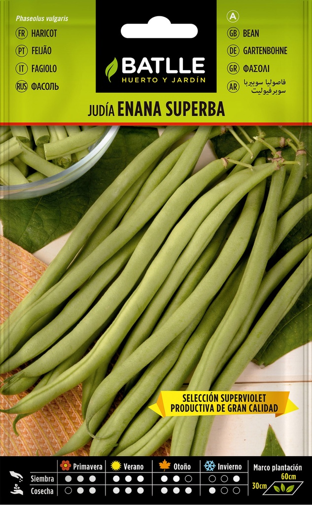 JUDIA SUPERBA ENANA 250 GRS