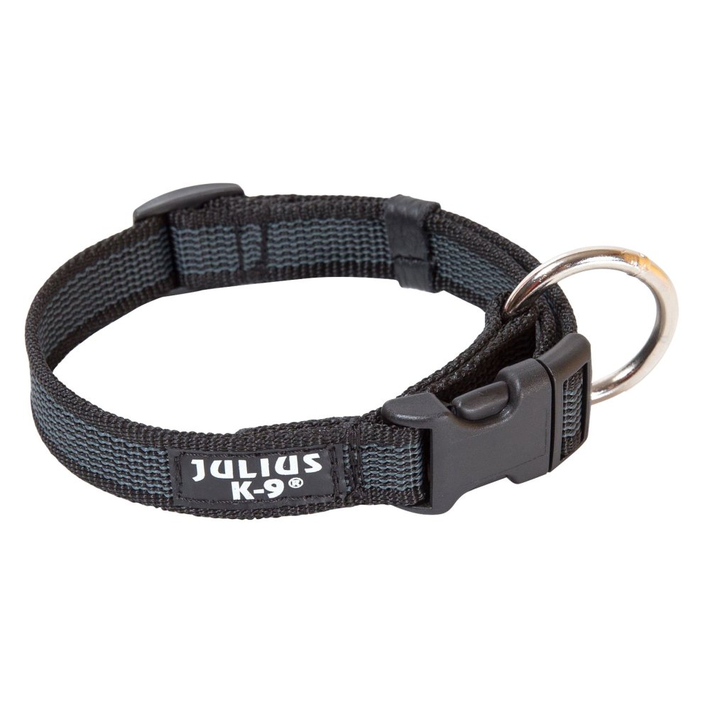 JULIUS K9 COLLAR ENGOMADO 25 MM 